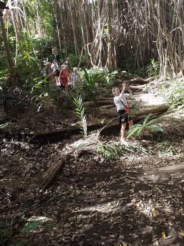 Guests enjoying the island